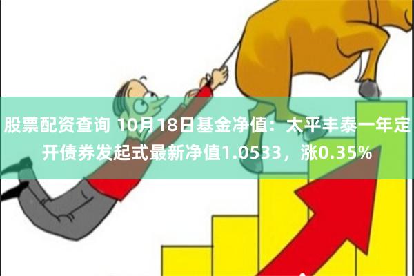 股票配资查询 10月18日基金净值：太平丰泰一年定开债券发起式最新净值1.0533，涨0.35%
