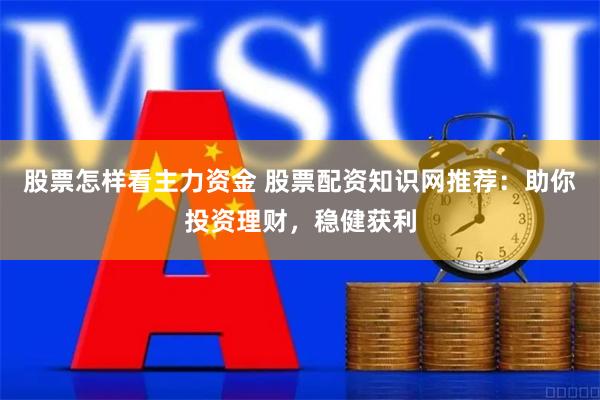 股票怎样看主力资金 股票配资知识网推荐：助你投资理财，稳健获利
