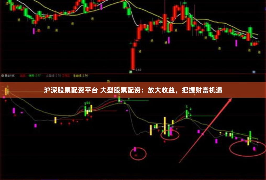 沪深股票配资平台 大型股票配资：放大收益，把握财富机遇