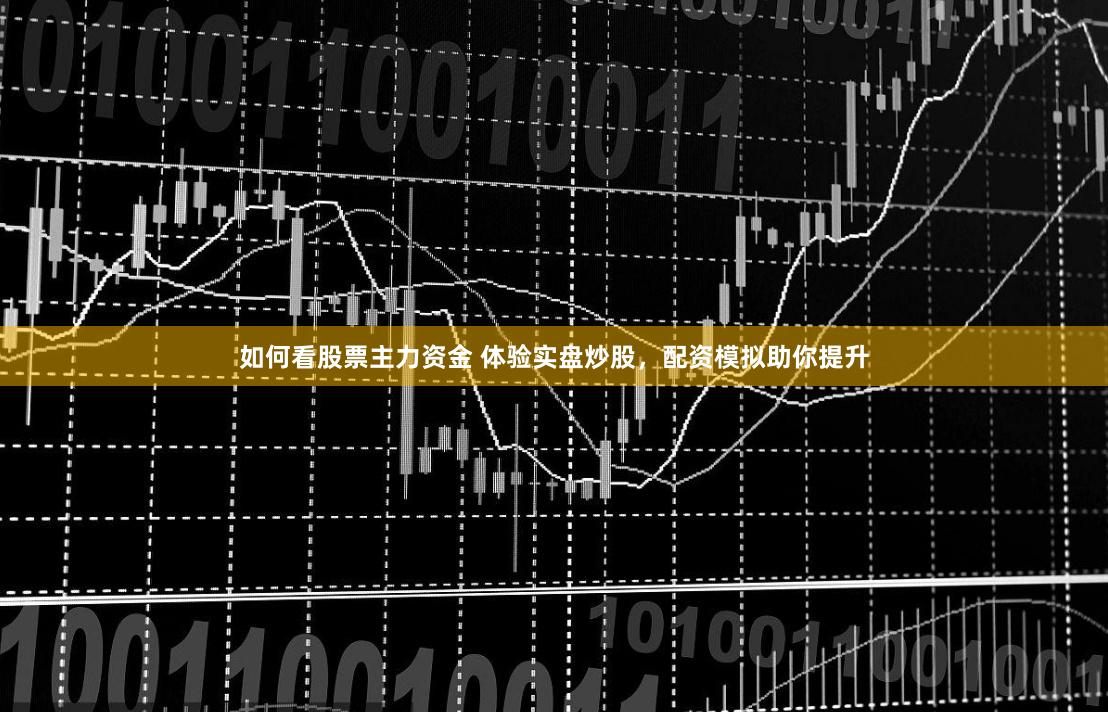 如何看股票主力资金 体验实盘炒股，配资模拟助你提升