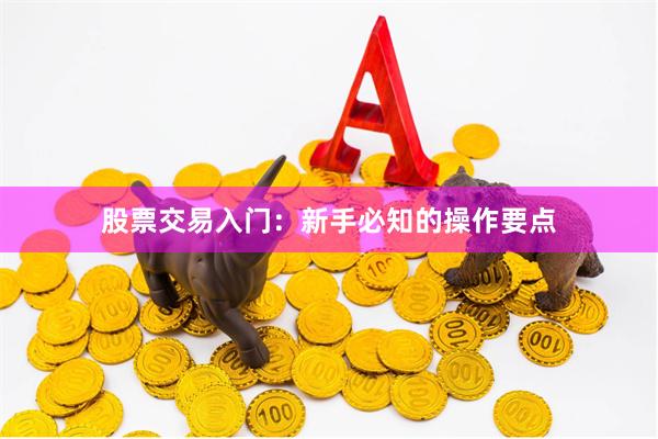 股票交易入门:新手必知的操作要点